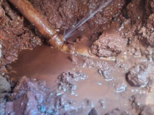 IMG-20240314-WA0012